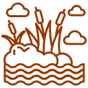 wetland
